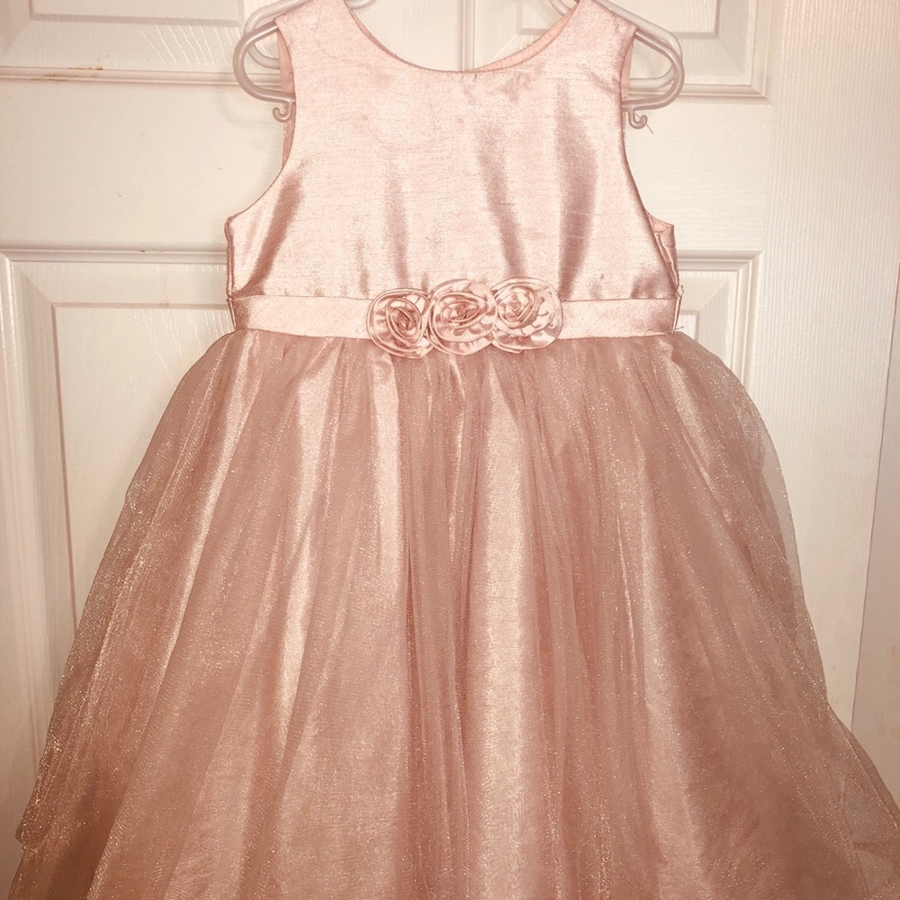 Girls Pink Dressy Tulle dress